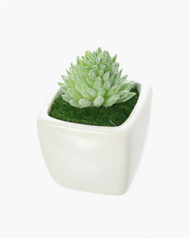 Boudin porkbell shou